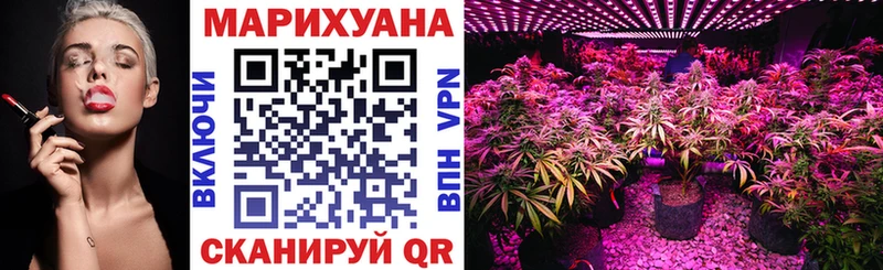 Бошки марихуана SATIVA & INDICA  Купить закладки  Тетюши 